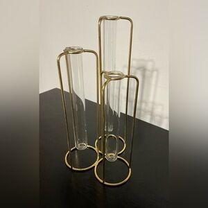 Gold Metal and Glass Test Tube Vase Set